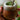 Maté