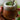Maté